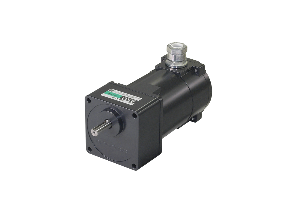 Induction Motors World K Series with IP65 Terminal Box