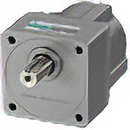 Parallel Shaft Gearhead GFV Gearhead