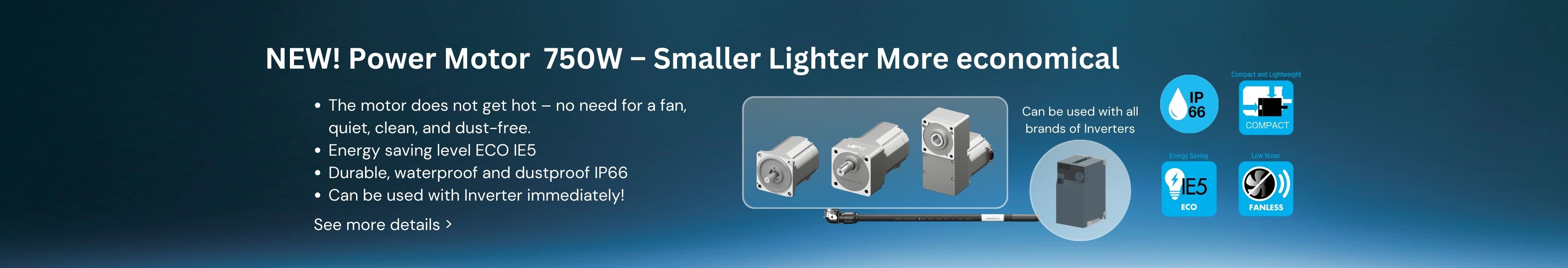 750W Power Motor