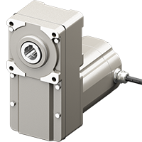Motor (with Cable)
