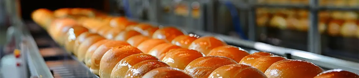 Freshly baked bread on a conveyor line in a bread manufacturing plant