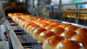 Food Manufacturing and Packaging