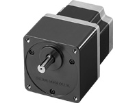PK296A1-SG10