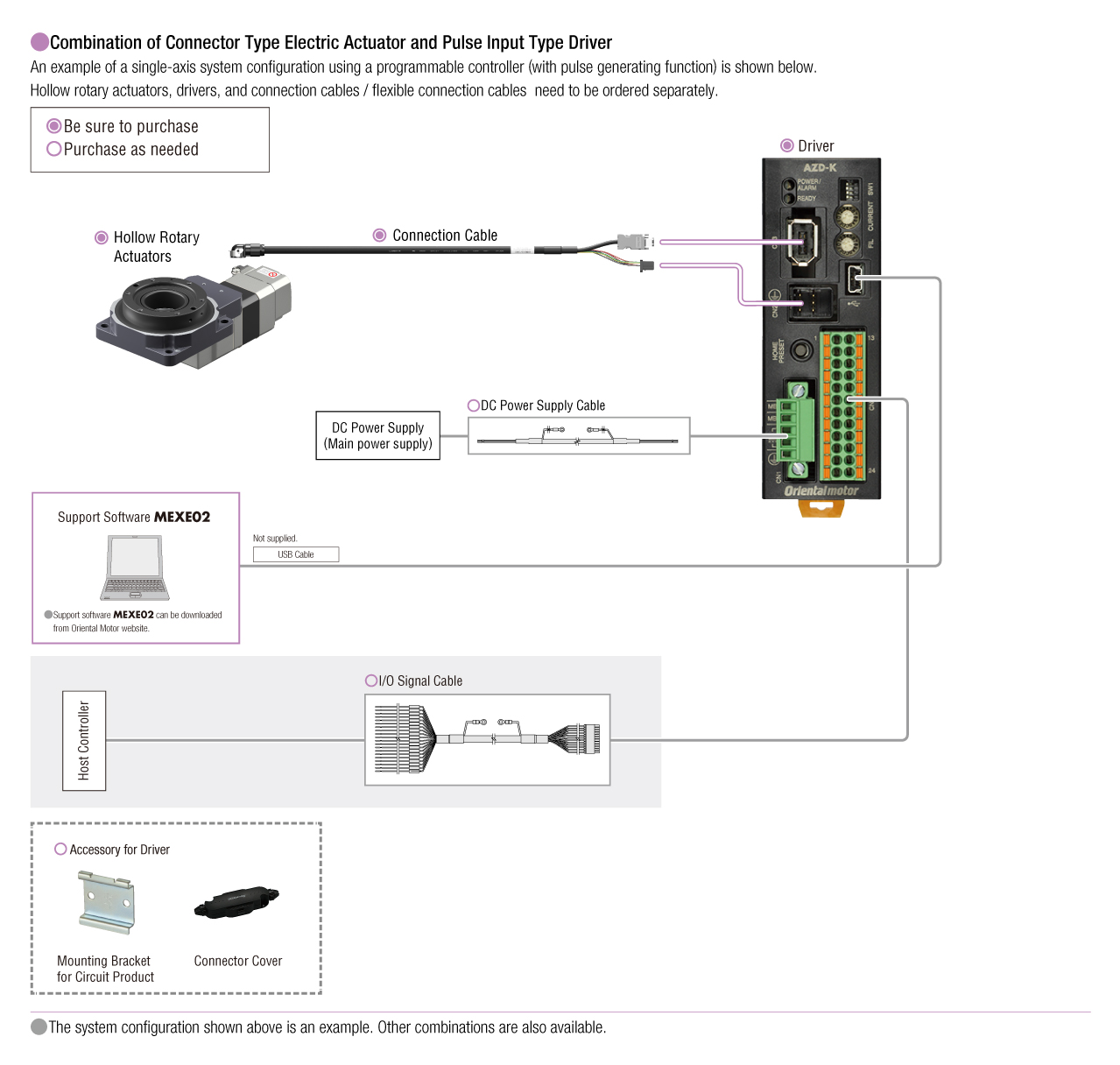 Pulse Input Type (DC input)